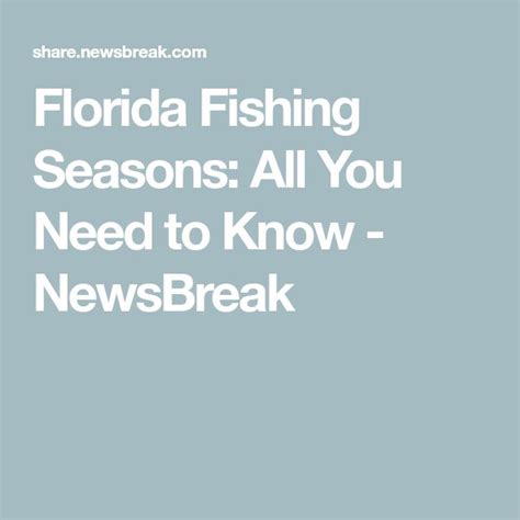 Florida Fishing Seasons All You Need To Know Newsbreak Florida