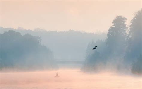 Morning Lake Mist Bird Landscape Wallpaper 1920x1200 119101