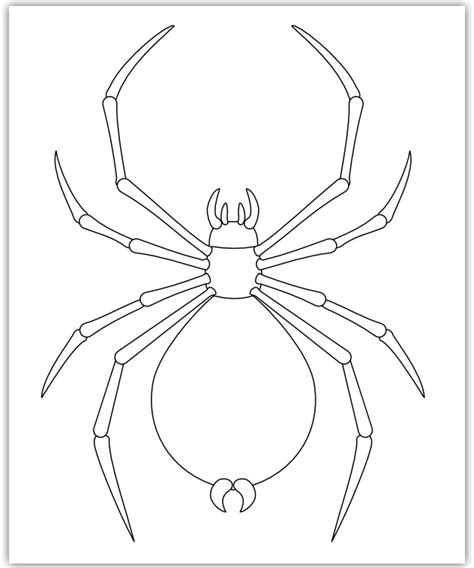 Imaginesque Spider Pattern Spider Drawing Shape Templates Animal
