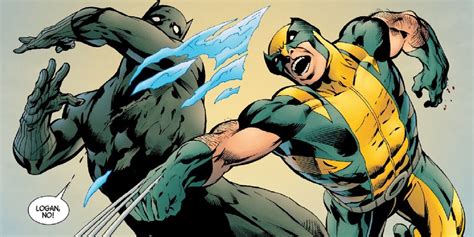 Black Panther Vibranium Vs Wolverine Admantium Which One Is Stronger Find Out Here