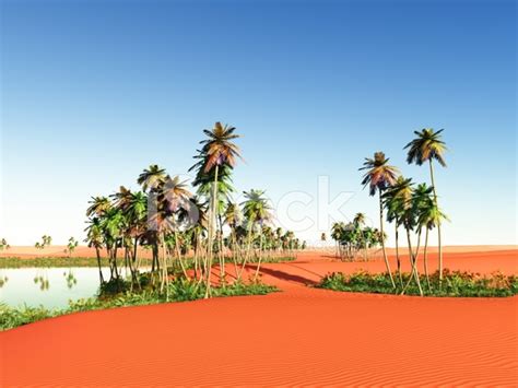 African Oasis Stock Photo Royalty Free Freeimages