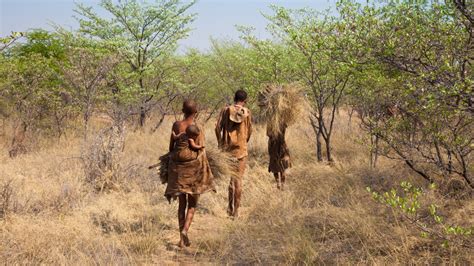 The Exercise Habits Of Hunter Gatherers The Paleo Diet