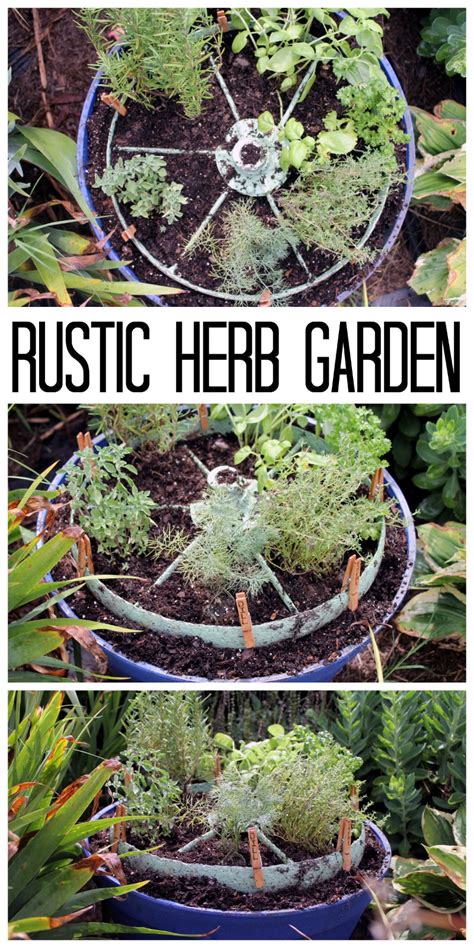 10 beautiful herb garden designs. Herb Garden Design: Rustic Wheel - The Country Chic Cottage