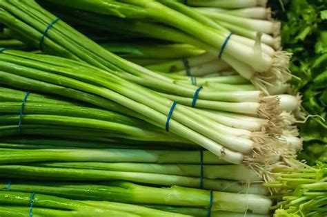 It is perfect side dish to serve with any korean main dishes, bbq or simply with only freshly steamed. 4 Different Types of Green Onions