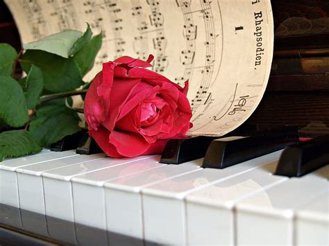 The Rose Piano Sheet Music