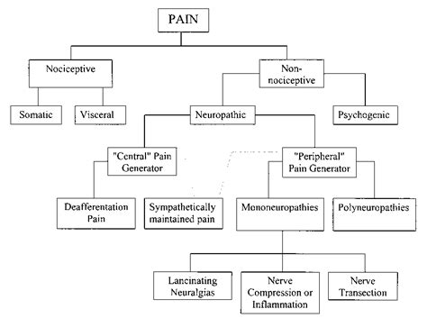 Classification Of Pain Stereotactic And Functional Neurosurgery