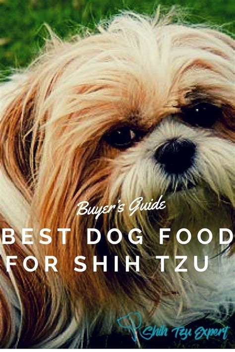 It is perfectly natural to feel afraid. Best dog food for Shih Tzu | Best dog food, Shih tzu, Shih ...
