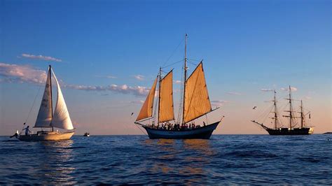 Three Sails In Gloucester Photograph By David Vincent Fine Art America
