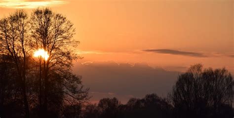 Free picture: tree, outdoor, sky, sunset, outdoor, silhouette, Sun, cloud