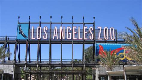 Day Trip To Los Angeles Zoo And Botanical Gardens Griffith Park