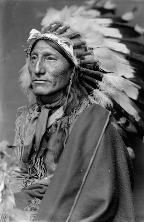 Whirling Horse Sioux Native American Indian Chief Wearing Headdress