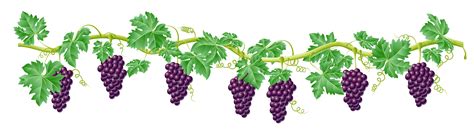 Free Grape Vine Png Download Free Grape Vine Png Png Images Free