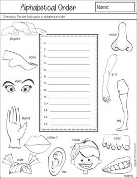 Our content is free and easy to download and use. Body Parts Worksheets by KM Classroom | Teachers Pay Teachers