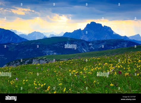 Evening Evening Mood Alps Alpine Panorama View From Auronzohutte