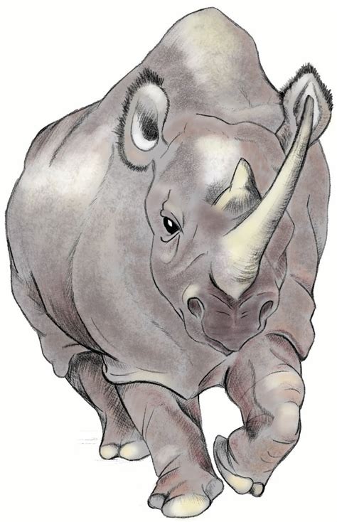 Dibujos De Rinocerontes A Lapiz Imagui