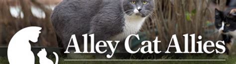Alley Cat Allies Feral Friends Network Visalia Feral Cat Coalition
