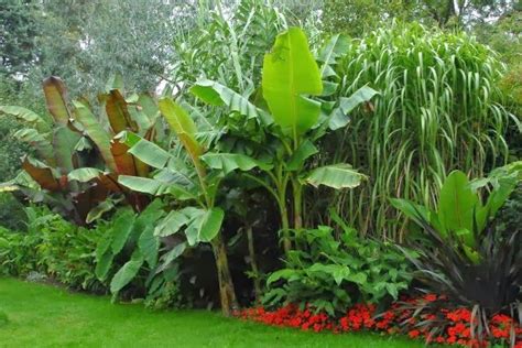 28 Refreshing Tropical Landscaping Ideas Tropical Garden Plants