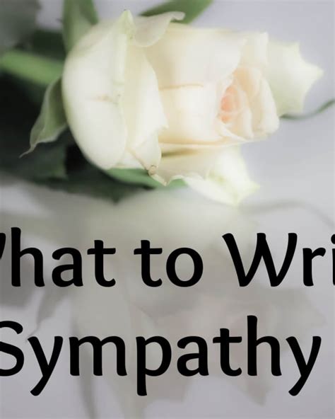 What To Write In A Sympathy Card Words Of Comfort Holidappy
