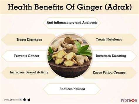 Ginger Adrak Benefits And Its Side Effects Lybrate