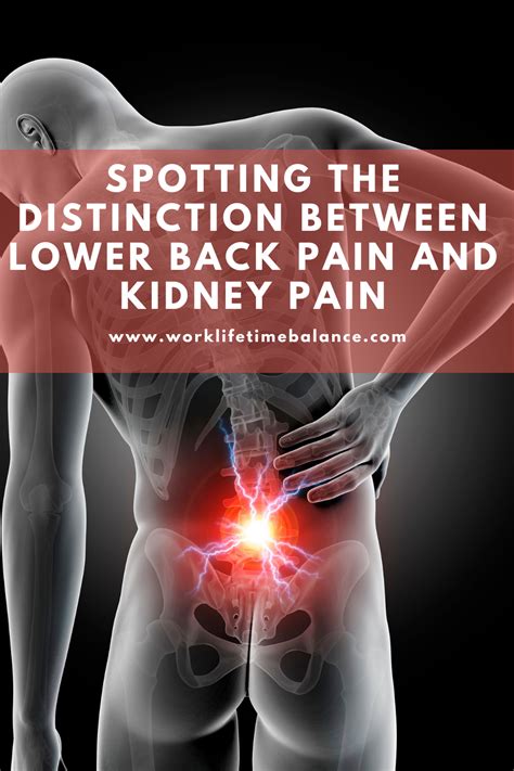 Where Do You Feel Kidney Pain Cares Healthy