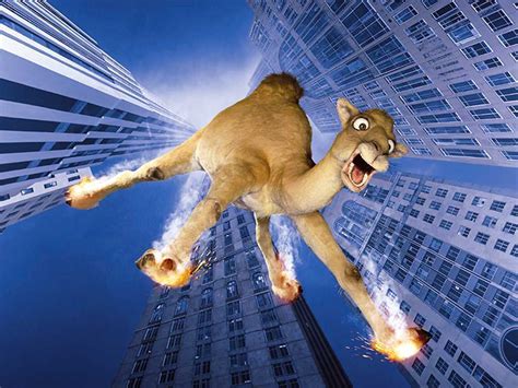 Gratuites pour usage commercial pas d'attribution nécessaire vidéos en haute qualité hd et 4k. Scenery Wallpaper: Fond D'écran Animé Gratuit D'animaux