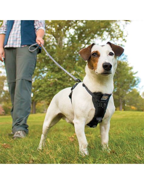 Kurgo Tru Fit Dog Harness No Pull Dog Walking Seat