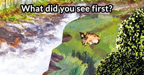 What Did You See First