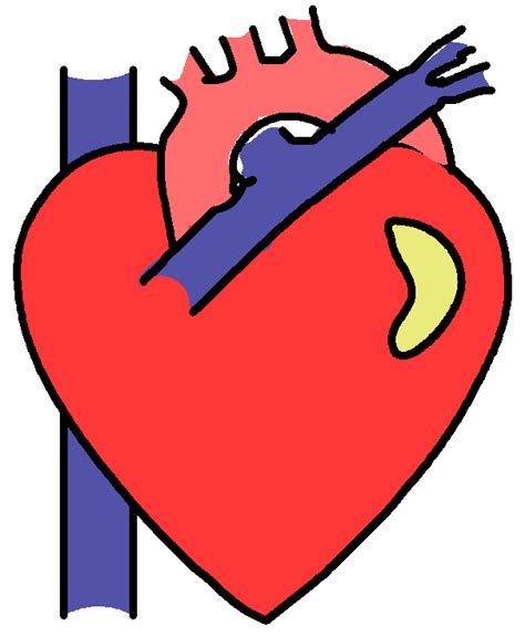 Animated Heart Clipart Clipart Best