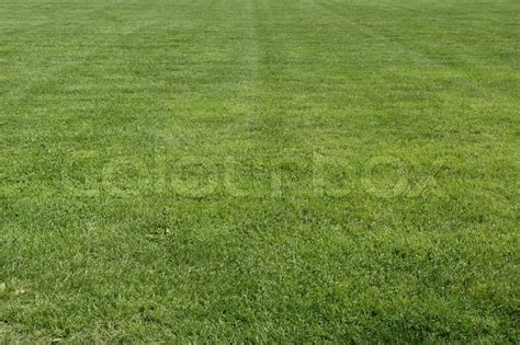 Bereich Der Grünen Gras Auf Den Stock Bild Colourbox