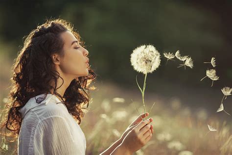 Beautiful Young Woman Blows Dandelion In A Wheat Field In The Summer Sunset Beauty Summer