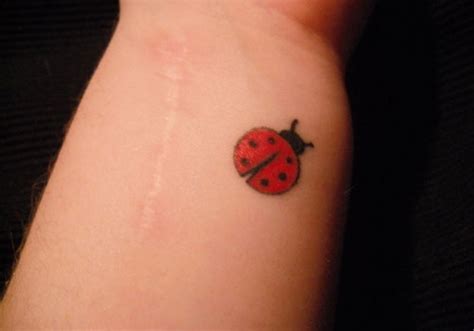 A small ladybug tattoo idea like this one is perfect for beginners and everyone who loves minimalist tattoo designs. 29 Impressive Ladybug Wrist Tattoos