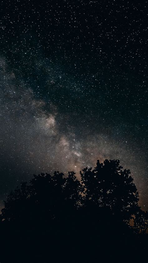 Download Wallpaper 1080x1920 Starry Sky Milky Way Night Trees Stars