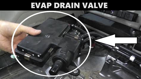 Subaru Evap Drain Valve P0447 P0448 P1443 Youtube