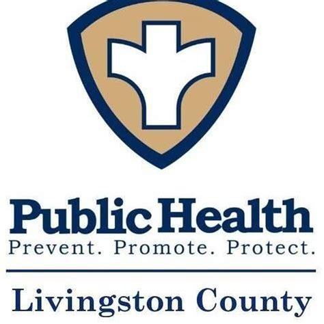Livingston County Coronavirus Update 4 More Cases 20 Active Shaw Local