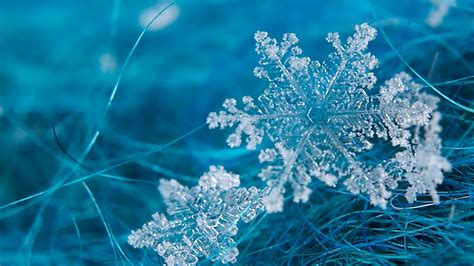 Download Snowflake Desktop Wallpaper High Definition Quality By