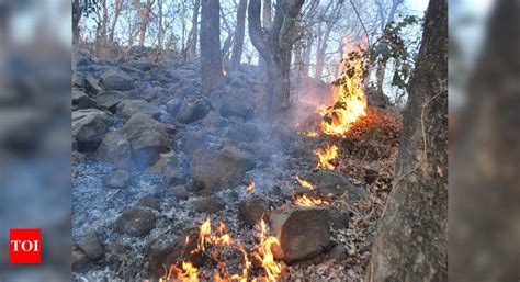 Forest Fires Are Back But Is Uttarakhand Ready To Tackle Them