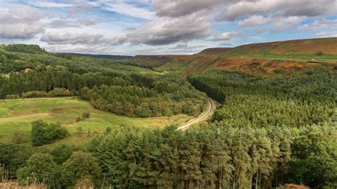 10 Of The Best Forest Walks In Yorkshire Leeds List