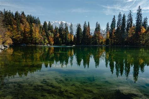 Le Lac Vert En Automne Frédéric Pactat Flickr