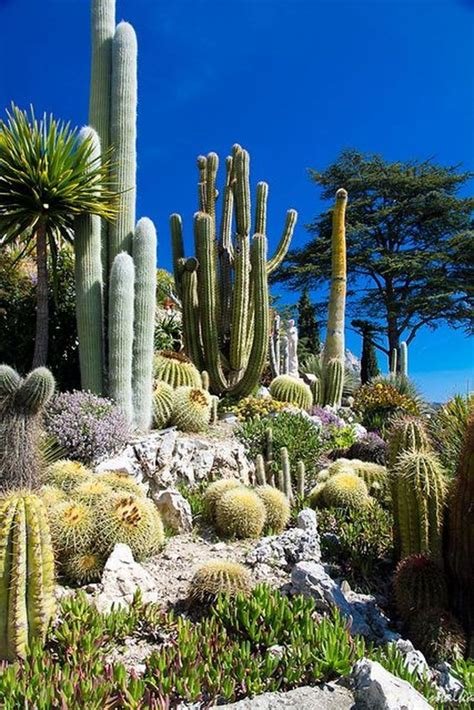 Stunning Desert Garden Ideas For Home Yard 65 Rock Garden Landscaping