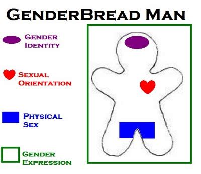 Breaking Through The Binary Gender Explained Using Continuums It S Pronounced Metrosexual