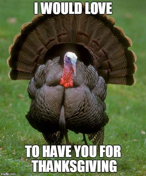 50 funny happy thanksgiving memes 2023 turkey memes