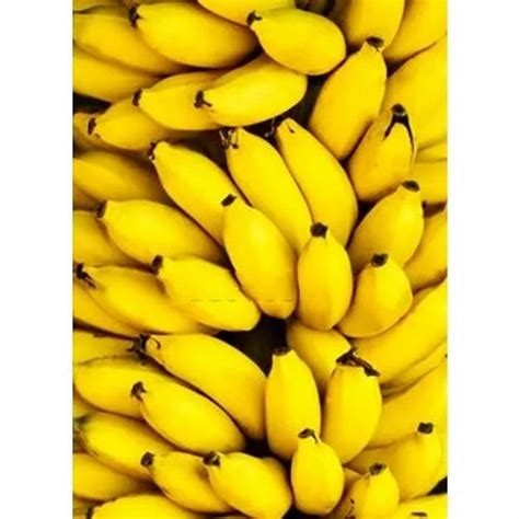 A Grade Fresh Yelakki Banana Packaging Size 10 Kg Rs 60 Kg Id