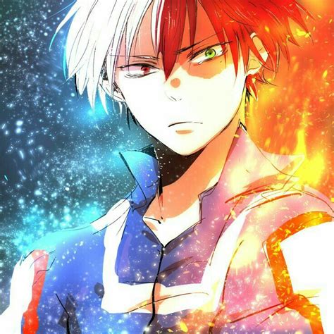 Todoroki Shouto Warm Cold Ice Fire Quirk Cool My Hero Academia