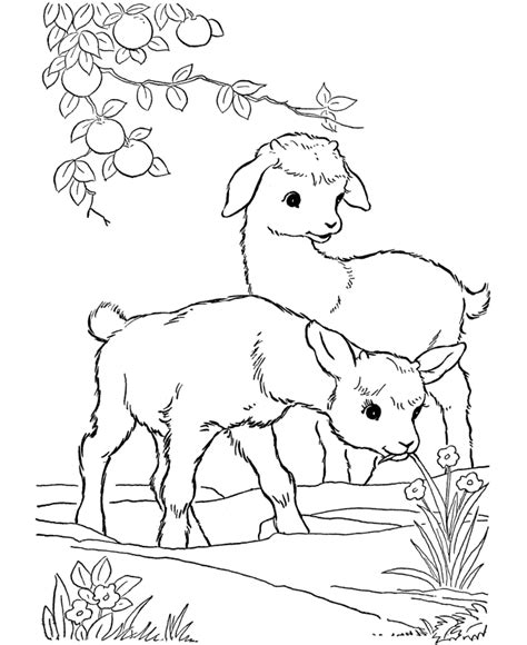 Baby Farm Animals Coloring Pages Coloring Home
