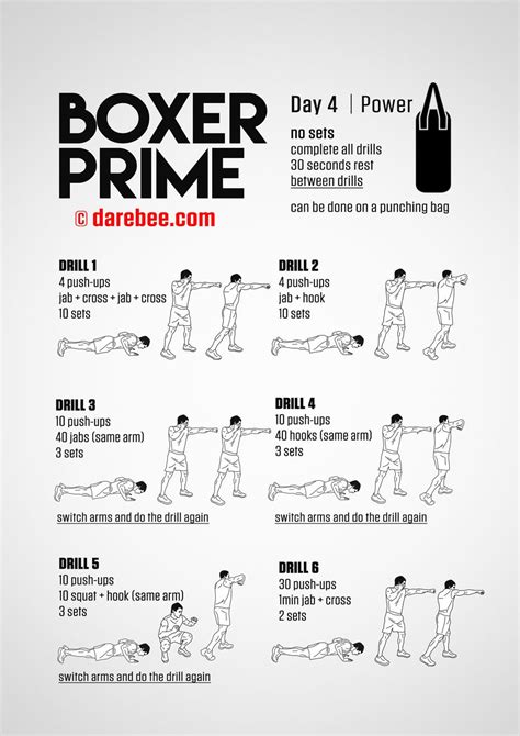 Boxer Prime Boxing Training Workout Punching Bag Workout Kickboxing