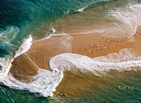 Aerial Photography Seagull Beach 4