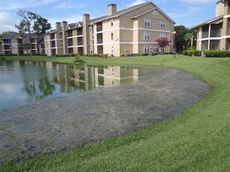 A dry pond or detention pond only holds water for a short amount of time. Stormwater Retention and Detention Ponds | Agrarian Land ...