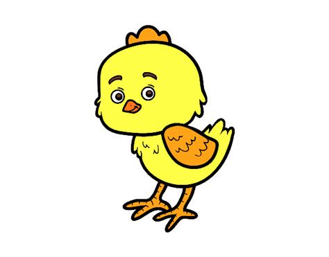 Colored Page The Little Chick Cheep Painted By User Not Registered