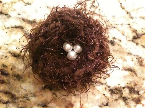 Baby Prop Shop Bird Nest Pins