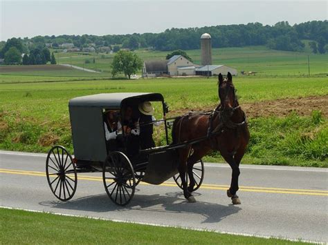 Amish Alchetron The Free Social Encyclopedia